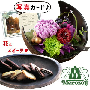 ԃMtg  vU[uht[ a    ]t Ifbg Mtg Zbg v[g j ސE j lC   50 60 70 av[g (DB) [ԃZ][]  V