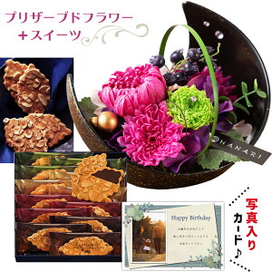 ԃMtg  vU[uht[ a  sN  ]t ĉَq l Mtg Zbg v[g j ސEj j lC   60 70 av[g (DB) [ԃZ][