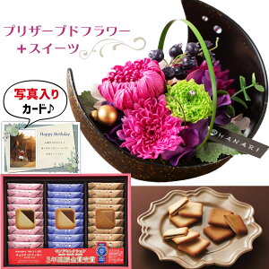 ԃMtg  vU[uht[ a  sN  Ro`RTh Mtg Zbg v[g j ސEj j lC   60 70 av[g (DB) [ԃZ][