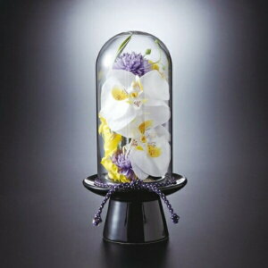 お供え ギフト プリマ ガラスドーム の 供花 胡蝶蘭 法事 法要 仏事 お供え物 御仏前 お彼岸 仏壇用 お盆 初盆 御供物 喪中見舞い お品 (SD) 喪中見舞 年賀欠礼 喪中はがき 出産 内祝い 結婚 退
