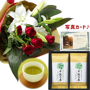 t[Mtg j 蕨  ԑ bh  ōʏ\iďC  [ җ Ê P Ď   ސE LO j v[g e oY j  jԂ a