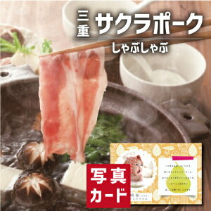 |[N Ԃ   Y O Vzj e Ԃ e E Ԃ }}F g i Cj Cj  Ԃ މ@j  җ Ê 5000~ (SK)y v[