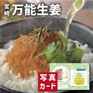 \  I Hו Vzj Ԃ e E Ԃ }}F g i Cj Cj AEj  Ԃ މ@j  50 60 70  җ 3000~ (SK)y v[g