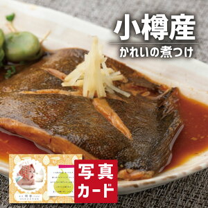 kC MY ꂢ̎ς B O CN Hו Vzj e E Ԃ }}F FB g i Cj Cj  Ԃ  җ 10000~ (SK)y oY j  