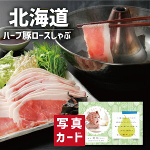 kC n[u  [X Hi ؓ Vzj Ԃ e E Ԃ }}F FB g i Cj Cj AEj  Ԃ މ@j  җ 10000~ (SK)y Mt