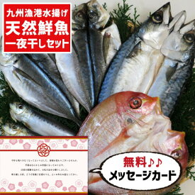 お中元 夏ギフト 入学内祝い 九州 一夜干し 4種セット グルメ 海鮮 食べ物 新築内祝い 両親 お返し 職場 半返し ママ友 身内 品物 快気祝い 快気内祝い お見舞い お礼 還暦 古希 5000円 ギフト プレゼント 香典返し 退院祝い 自分へのご褒美 誕生日 内祝い 母親 (SK)軽