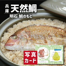お中元 夏ギフト 天然 明石鯛 使用 鯛めしのもと グルメ 海鮮 食べ物 新築内祝い 両親 お返し 職場 半返し 身内 品物 快気祝い 快気内祝い 合格祝い お見舞い お礼 還暦 古希 5000円 プレゼント 出産 内祝い 結婚 退院祝い 自分へのご褒美 誕生日 退職祝い 母親 (SK)軽