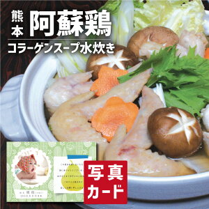 刢hǂ R[Q X[v  B Hו  aH Vzj Ԃ E Ԃ }}F g i Cj Cj  Ԃ މ@j  v[g  җ Ê (S