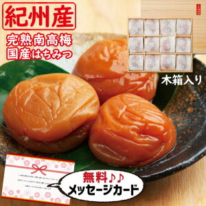 IB썂~ ΐ_̔~i~j Hו aH Vzj e Ԃ E Ԃ }}F g i Cj Cj    җ Ê 5000~ (SK)y v[g oY 