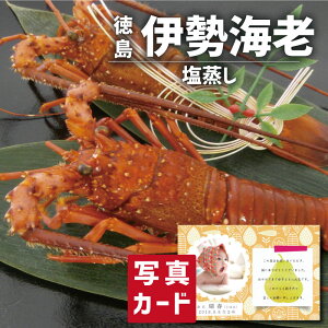  ɐCV̉ O CN Hו Vzj e E Ԃ }}F FB g i Cj Cj  Ԃ  җ 10000~ (SK)y oY j  ސE T