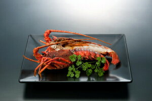  ጎ ɐCVXe[L O CN Hו CN Vzj e E Ԃ }}F FB g i Cj Cj  Ԃ  җ Ê 10000~ (SK)y oY j 