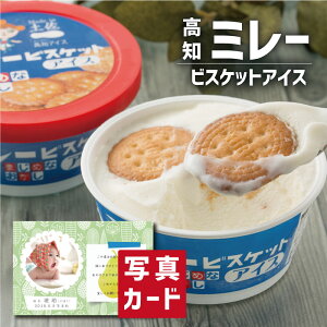 m ~[rXPbg ACX XC[c mَq ACX Vzj e Ԃ E Ԃ }}F g i Cj Cj    җ Ê 5000~ (SK)y Mtg oY 