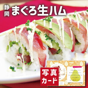 ܂  n C O CN Hו Vzj e Ԃ E Ԃ }}F FB g i Cj Cj  މ@j  50 60 70 80 җ 5000~ (SK)y v[