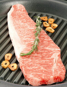 oY j   MBv~A T[CXe[L Y Vzj e Ԃ E Ԃ }}F FB g i Cj Cj AEj  Ԃ މ@j 