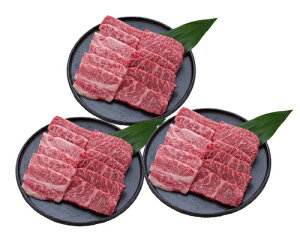 MBv~A ē O Y uh  Vzj e E Ԃ }}F FB g i Cj Cj  Ԃ  җ 10000~ (SK)y oY j  