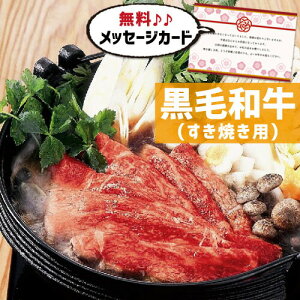 Y јa ₫ A O Y uh  Vzj e Ԃ E Ԃ }}F g i Cj Cj  މ@j  җ Ê 5000~ (SK)y v[g