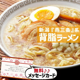 お中元 夏ギフト 新潟 燕三条系 背脂ラーメン 麺類 食べ物 グルメ おかず 新築内祝い 両親 お返し 職場 半返し 女友達 身内 品物 快気祝い 快気内祝い 就職祝い お見舞い お返し お礼 還暦 5000円 (SK)軽 プレゼント 出産 内祝い 結婚 退院祝い 自分へのご褒美