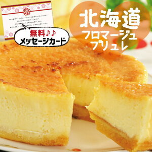 kC \ t}[Wu XC[c mَq Vzj Ԃ E Ԃ }}F g i V Cj Cj  Ԃ މ@j   җ 5000~ (SK)y Mt