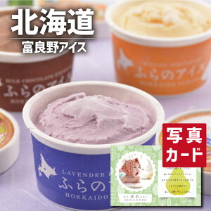 kC xǖ ACXN[ XC[c mَq ACX Vzj e Ԃ E Ԃ }}F g i Cj Cj ij    җ 5000~ (SK)y Mtg 