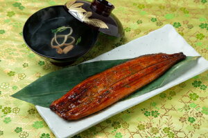 CN Ȃ≮̑܊ (3j̋zt CN Vzj e Ԃ E Ԃ }}F g i Cj Cj ij  Ԃ  җ Ê 15000~ (SK)y oY 