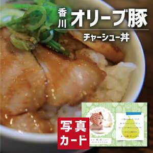 I[u `[V[  ؓ uh Y Vzj e Ԃ e E Ԃ FB g i Cj Cj AEj  Ԃ މ@j  җ 5000~ (SK)