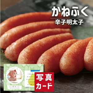 ˂ӂ F 炵q O CN Hו Vzj Ԃ E Ԃ }}F g i Cj Cj   v[g 50 60 70 80 җ Ê 5000~ (SK)y 
