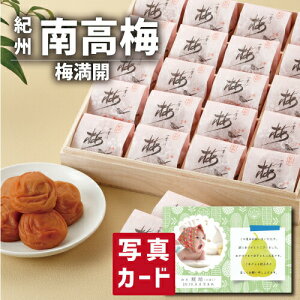 IB썂~ ~J B O Hו Vzj e Ԃ E Ԃ }}F FB g i Cj Cj   v[g 50 60 70 80 җ Ê 5000~ (SK)y o