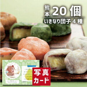 いきなり団子 4種 20個 セット スイーツ 和菓子 新築内祝い 両親 お返し 親 親戚 職場 半返し 身内 品物 快気祝い 快気内祝い 就職祝い お見舞い お返し 退院祝い お礼 お供え 還暦 5000円 (SK)軽