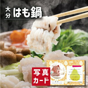 啪 ͂ O Hו Vzj e E Ԃ }}F FB g i Cj Cj  Ԃ  v[g 50 60 70 80 җ Ê 5000~ (SK)y oY j