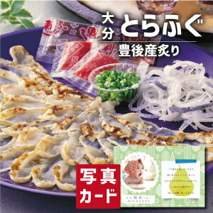 啪 LY Ƃӂ t O CN Hו Vzj Ԃ E Ԃ FB g i Cj Cj AEj  Ԃ  җ 5000~ (SK)y Mtg oY j 