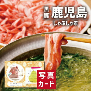   Ԃ Zbg  ؓ uh Vzj e E Ԃ }}F FB g i Cj Cj  Ԃ މ@j  җ 5000~ (SK)y Mtg oY 