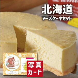 aP[L kC `[YP[L Zbg XC[c mَq Vzj e Ԃ E Ԃ }}F g i Cj Cj AEj    җ 5000~ (SK)y oY