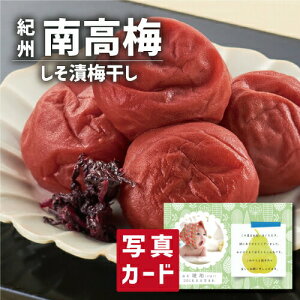 IB ݂Ȃׂ̓썂~  ~ O Hו Vzj Ԃ E Ԃ FB g i Cj Cj AEj  Ԃ  җ 5000~ (SK)y Mtg oY j 