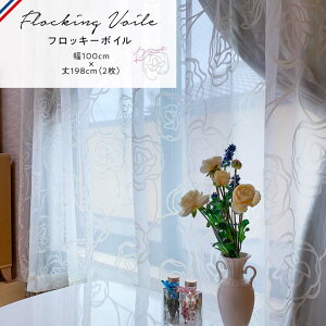 [XJ[e (U[) 100×198cm(2) o tbL[ {C [100cm 198cm rO m a q |o 呋 [Y KN ΂ fUCJ[e ]