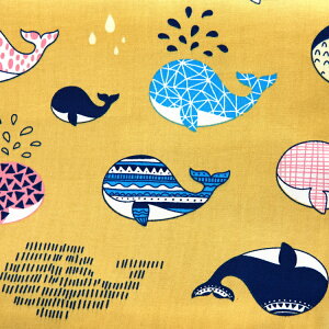 �� �q���p ���킢�� ���炩 �V�R ���e�b�N�X �܂��� ���ǂ��p �W���j�A�� ������ �L�b�Y�s���[ ������ �F�� �N�W�� �� ���P�b�g ���C�I�� ���� �N�} ���ʂ� �A���C�O�} UFO �A�j�}��