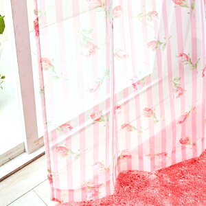 I[_[ J[e Sweet [Y {C[X  50`300cm ×  60`260cm 1 I[_[TCY v[c݂ł͂ { o KN t` g[^R[fBlCg UA SVbN 