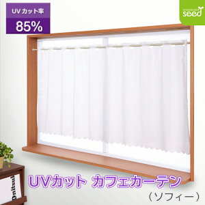 UVJbg ~[ [X JtFJ[e70 (\tB[) 145×70cm rO m a q OJbg o  Ă΍ Lb` y