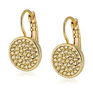 �A���N���C�� Anne Klein �C�������O �A�N�Z�T���[ �O�b�Y Anne Klein Crystal Pave Drop Earrings