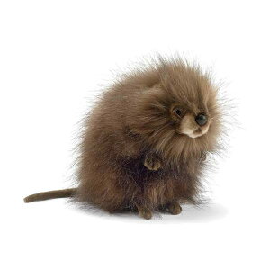 nT }XNbg lY~ ʂ Hansa Muskrat Plush
