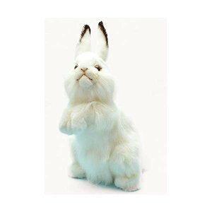 nT ETM e  zCg  ʂ 13C` Hansa Rabbit Plush Animal Toy, 13", White