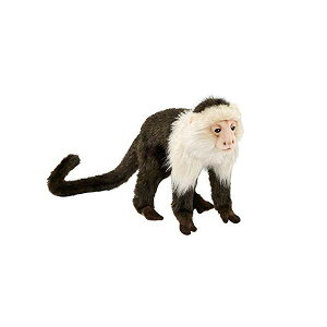 nT I}LU T  ʂ Hansa Capuchin Monkey Plush