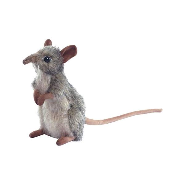 ハンサ ネズミ 鼠 ねずみ ハネジネズミ ぬいぐるみ 6インチ ハンサ ネズミ 鼠 ねずみ ハネジネズミ ぬいぐるみ 6インチ Hansa Elephant Mouse Plush Animal Toy 6 Nunet Co Jp
