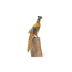 nT LW  ʂ 12C` Hansa Plush 12" Pheasant
