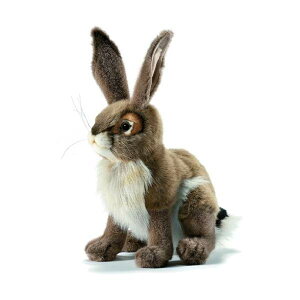 nT ETM e  WbNrbg ETM  ʂ 12C` Hansa Blacktail Jack Rabbit Plush Animal Toy, 12"