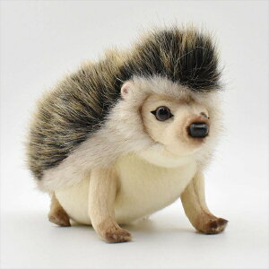 nT nlY~ jl ʂ Hansa 6807 Toys - African Pygmy Hedgehog, Multi