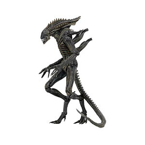 �G�C���A�� �v���f�^�[ �A�N�V���� �t�B�M���A �l�` �l�J NECA Aliens - 7" scale action figure series 11 - Defiance Alien