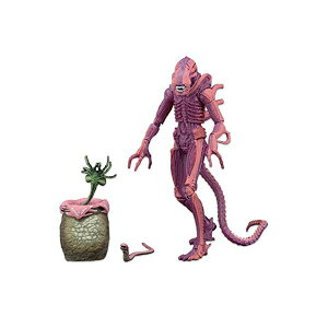 GCA vf^[ ANV tBMA l` lJ NECA Aliens Scale Warrior (Arcade Appearance) Action Figure, 7"