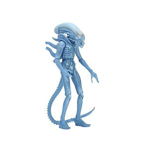 GCA vf^[ ANV tBMA l` lJ NECA Aliens 7" Scale Series 11 Blue Warrior Action Figure
