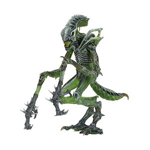 GCA vf^[ ANV tBMA l` lJ NECA Aliens 7" Scale Series 10 Mantis Alien Action Figure