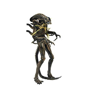 GCA ANV tBMA l` lJ NECA - Aliens 7" scale action figure - Series 12 Xenomorph Warrior Brown (Battle Damaged)